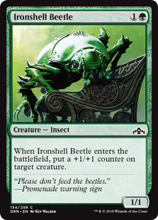 (image for) Ironshell Beetle (Foil)