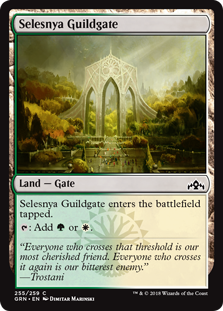 (image for) Selesnya Guildgate (255) (Foil)