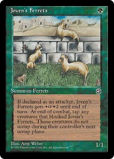 (image for) Joven's Ferrets