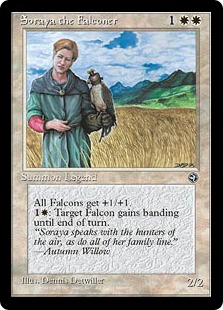 (image for) Soraya the Falconer