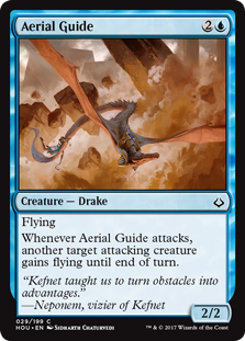 (image for) Aerial Guide (Foil)