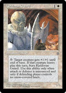(image for) Kjeldoran Guard