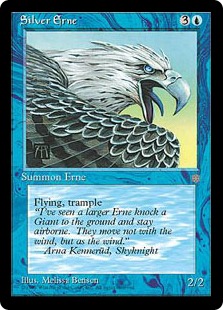 (image for) Silver Erne