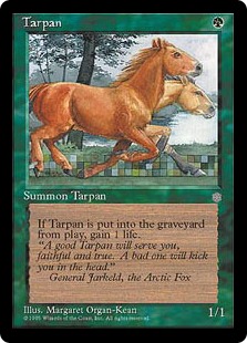 (image for) Tarpan