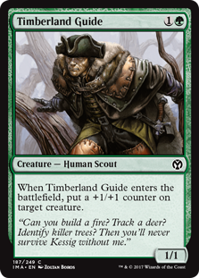 (image for) Timberland Guide (Foil)