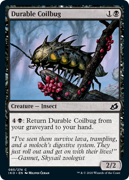 (image for) Durable Coilbug