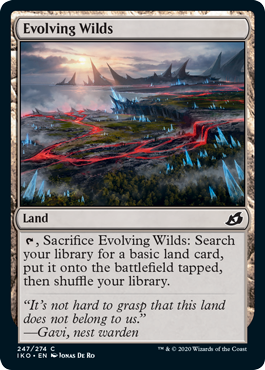 (image for) Evolving Wilds