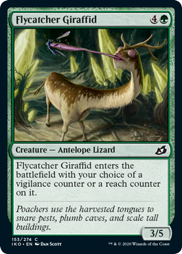 (image for) Flycatcher Giraffid