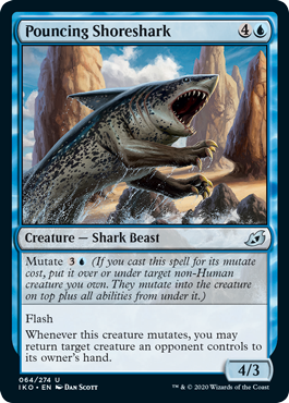 (image for) Pouncing Shoreshark