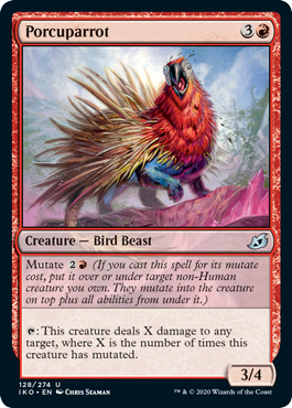 (image for) Porcuparrot (Foil)