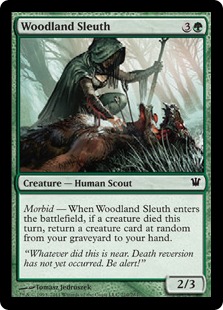 (image for) Woodland Sleuth