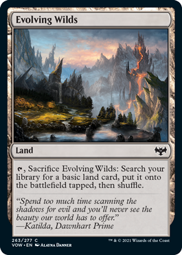 (image for) Evolving Wilds (Foil)