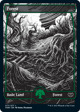 (image for) Forest