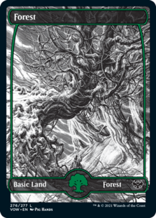 (image for) Forest (276) (Foil)