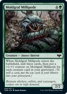 (image for) Moldgraf Millipede