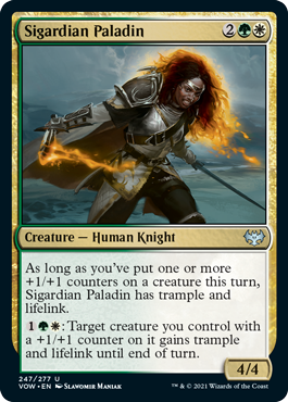 (image for) Sigardian Paladin