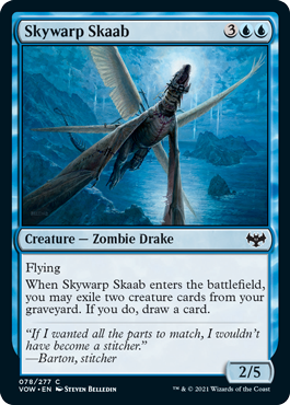(image for) Skywarp Skaab