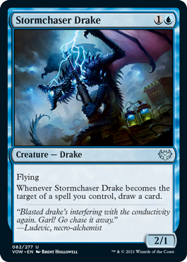 (image for) Stormchaser Drake (Foil)