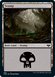 (image for) Swamp (400) (Foil)