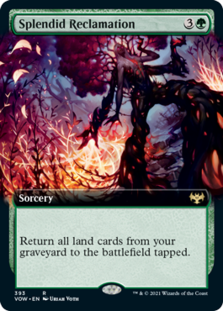 (image for) Splendid Reclamation (Extended Art)