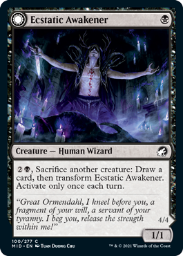 (image for) Ecstatic Awakener
