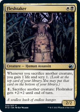(image for) Fleshtaker