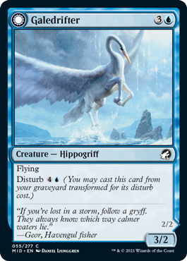 (image for) Galedrifter