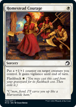 (image for) Homestead Courage