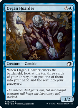 (image for) Organ Hoarder