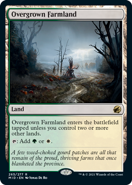 (image for) Overgrown Farmland