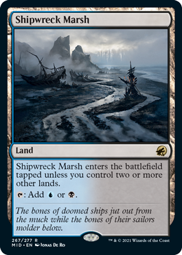 (image for) Shipwreck Marsh
