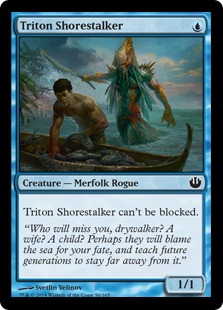 (image for) Triton Shorestalker