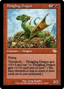 (image for) Fledgling Dragon