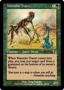 (image for) Nantuko Tracer