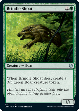 (image for) Brindle Shoat