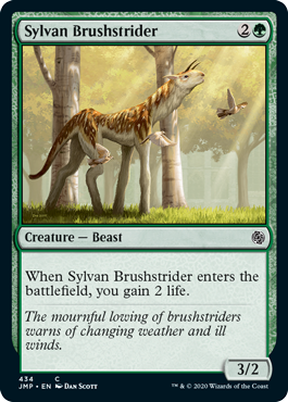 (image for) Sylvan Brushstrider