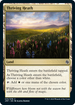 (image for) Thriving Heath