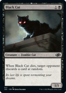 (image for) Black Cat