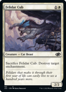 (image for) Felidar Cub