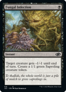 (image for) Fungal Infection
