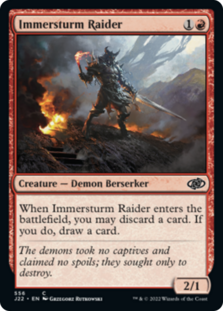 (image for) Immersturm Raider