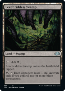 (image for) Leechridden Swamp