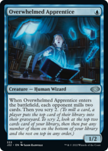 (image for) Overwhelmed Apprentice