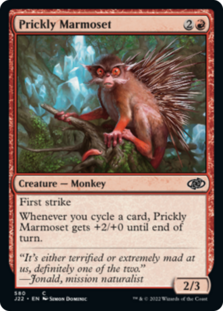(image for) Prickly Marmoset