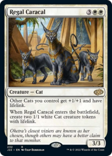 (image for) Regal Caracal