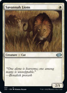 (image for) Savannah Lions