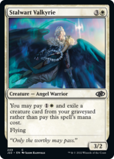 (image for) Stalwart Valkyrie