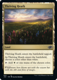 (image for) Thriving Heath
