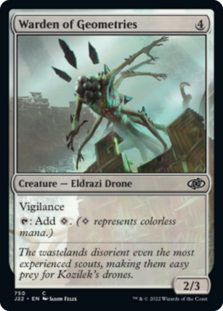 (image for) Warden of Geometries
