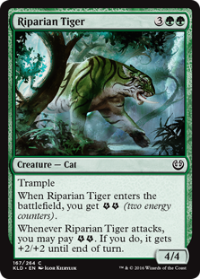 (image for) Riparian Tiger